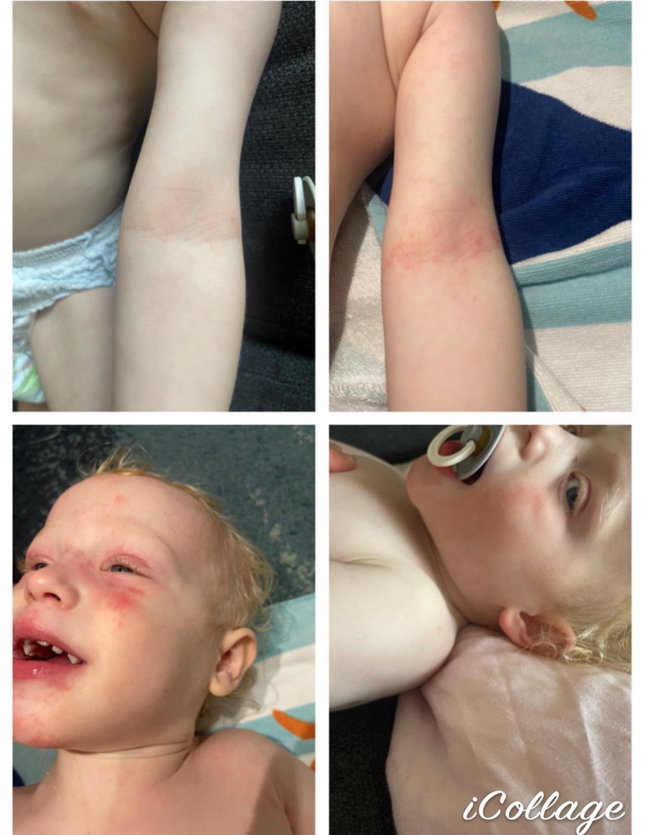 BARE BODY BUTTER – Fragrance Free & Deeply Nourishing