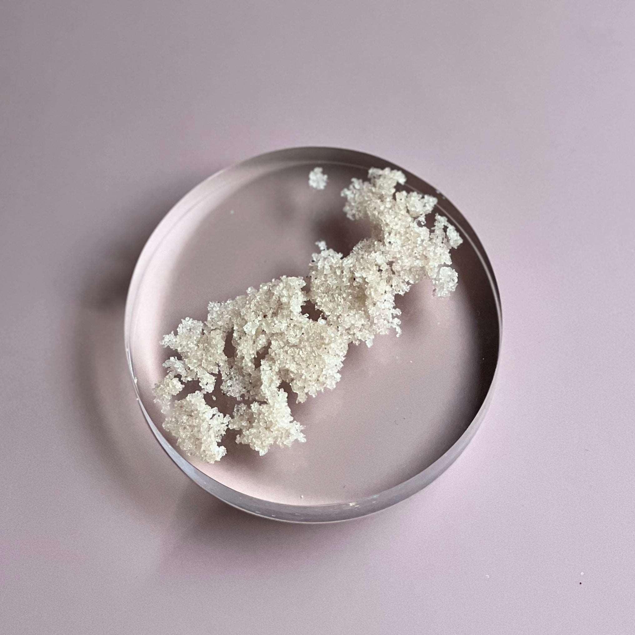 BEACH BUM BODY SCRUB - SCRUB OF THE WEEK - Glam Body